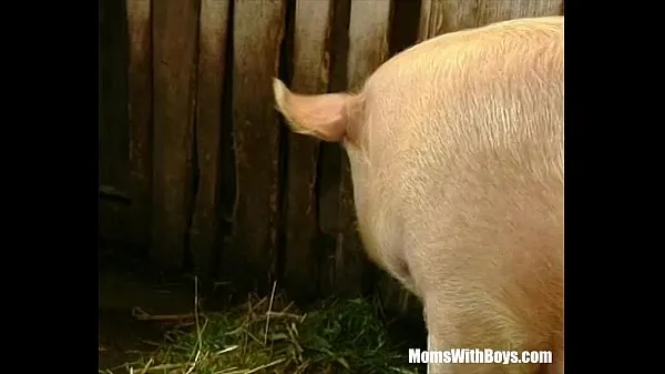 Video mới Brunette Lady Farmer Hairy Pussy Barn Fucked hàng đầu