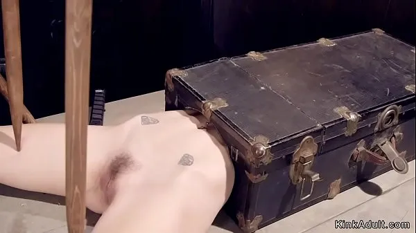 New Blonde slave laid in suitcase with upper body gets pussy vibrated top Videos