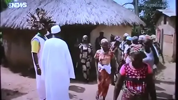 ใหม่ DNA Africa Brazil วิดีโอยอดนิยม