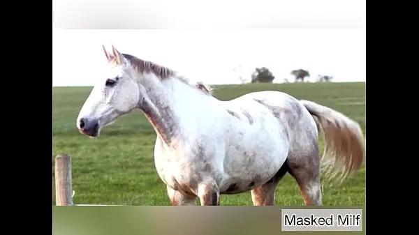 Horny Milf takes giant horse cock dildo compilation | Masked Milf Video teratas baharu