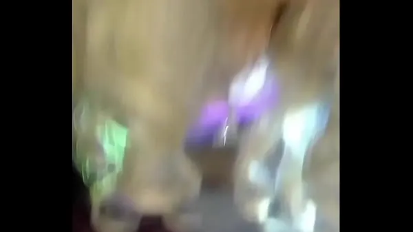 Video mới SUCKING NORTH AMERICAN TOURIST , DAMN HIS COCK IS SO LONG AND PINK , HES SO TALL AND FIT I LOVE THOSE LONG MUSCLE LEGS AND HIS YELLOW SMELLY PUBIC HAIR (COMMENT,LIKE,SUBSCRIBE AND ADD ME AS A FRIEND FOR MORE PERSONALIZED VIDEOS AND REAL LIFE MEET UPS hàng đầu